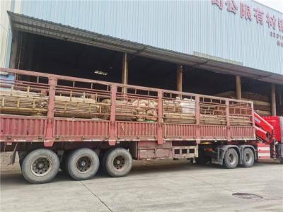 东莞市望牛墩镇脚手架杠杆租赁销售一体化服务
