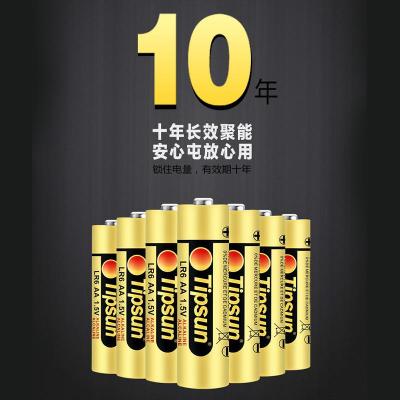 Tipsun 碱性电池LR6/LR3