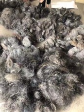 泰州专业废钼回收什么价格