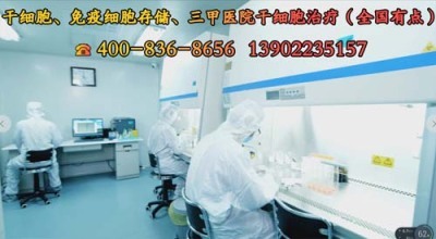 nk治疗费用