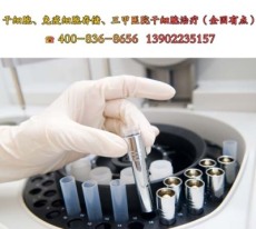 dc细胞表面标志物