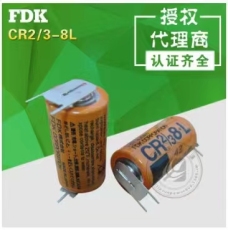 云安县大品牌纽扣电池加工定制