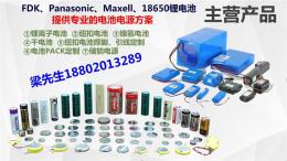 民众镇大品牌纽扣电池加工定制