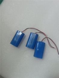龙门县大品牌纽扣电池加工定制