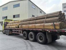 陆丰工地建筑钢管扣件租卖