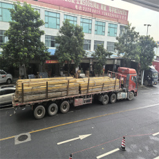 惠州销售建筑钢材价格