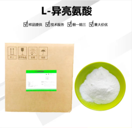 L-异亮氨酸河北华阳异亮氨酸工厂