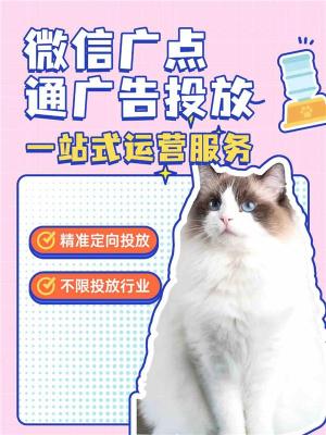 怀化腾汛信息流广告渠道开户什么资质
