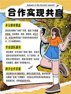 全平台广告合作方式
