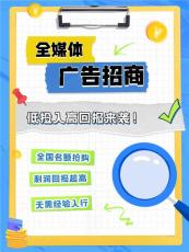 新媒体广告年利润