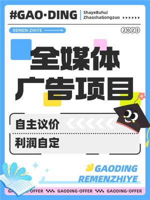 全平台广告投入成本