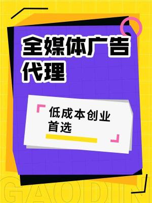 贵阳新媒体广告投入成本