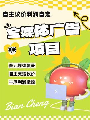 中山斗音小红薯信息流广告代理资质