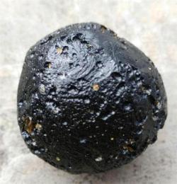 茂名猪宝拍卖鉴定2025年拍卖价格