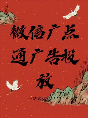 贵州腾讯广告投放个体户能开吗