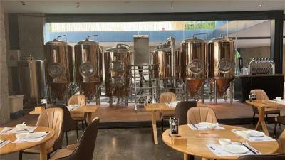 天津精酿酒馆啤酒设备 500升啤酒设备机器