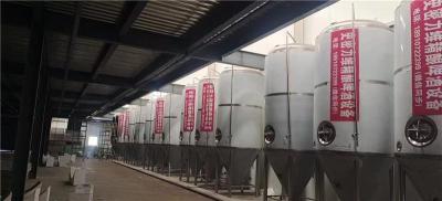 大连啤酒厂酿造精酿啤酒的设备50吨啤酒设备