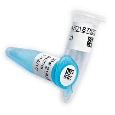 贝迪实验室常用标签