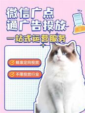 长治腾讯信息流广告投放个人能操作吗
