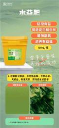 湖北潜江小龙虾冬季用什么肥水好快速肥水