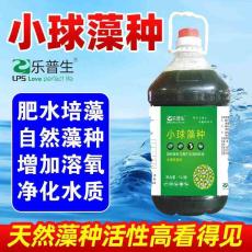 水产蛋白核小球藻厂家快速培藻肥水