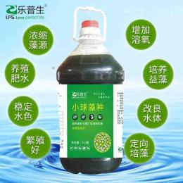 供应浓缩蛋白核小球藻种源头厂家