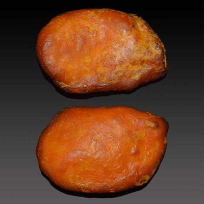 烏蘭浩特正規私下收購羊寶哪里有