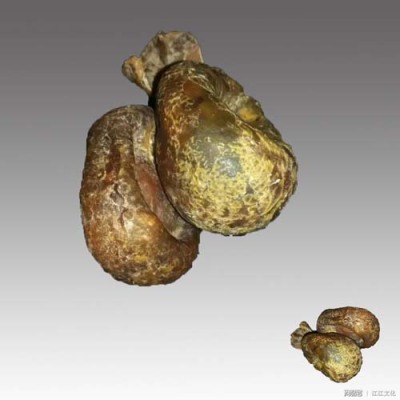 襄陽羊寶收購聯系方式