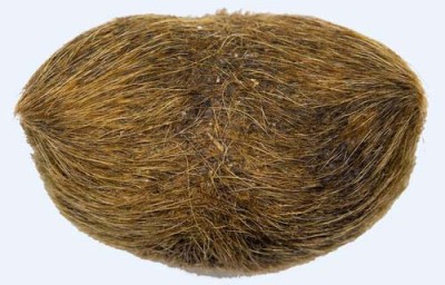 駐馬店長期收購雞寶當時付錢