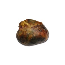 鄂爾多斯私下快速上門收購雞寶報(bào)價(jià)