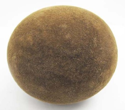 天門豬寶收購哪里有