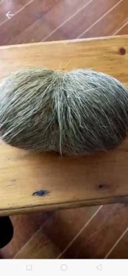 江蘇長期收購雞寶電話號碼