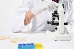 蚌山权威亲子鉴定中心列表