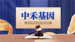 垦利区做亲子鉴定收费明细