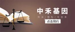 金水区亲子鉴定费用标准大全
