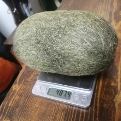 梅州猪宝鉴定直接收购