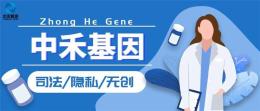石龙区本地亲子鉴定价格明细