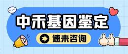 通许县当地亲子鉴定多少钱