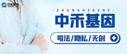 嵊泗县亲子鉴定价格收费标准明细