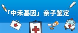 枞阳县DNA正规亲子鉴定多少钱