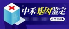 浑南区亲子鉴定价格费用一览