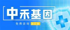 盐湖区正规亲子鉴定大约多少费用