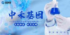 五常市开展亲子鉴定价目表