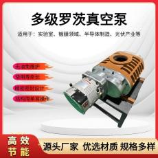LC860L全密封罗茨真空泵变频高效耐腐蚀