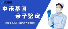 根河市地区做亲子鉴定需要多少钱
