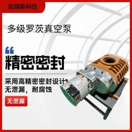 大吸力干式罗茨真空泵静音高效节能前级泵