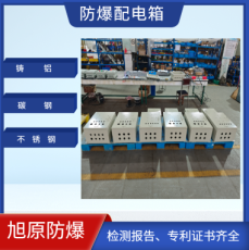防爆配电箱 应急照明隔爆型配电装置 开关控