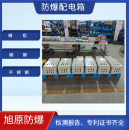 防爆配电箱 应急照明隔爆型配电装置 开关控
