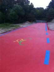 SHJS聚碳硅氧烷混凝土防腐涂料