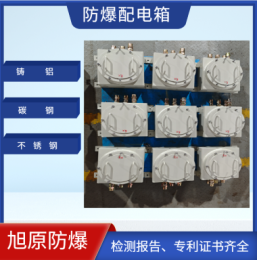 电源接线箱 粉尘防爆配电箱 开关控制柜 规